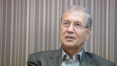 ربیعی: تلاش دولت حمایت از آنهایی است که صدایشان شنیده نمی شود