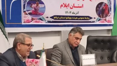 فدراسیون ووشو از نظر زیرساخت‌ها ضعیف است