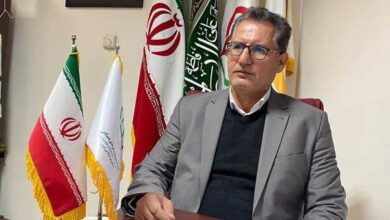 خلیلی: ۲ طرح ملی بزرگ در ورزش همگانی را اجرا کردیم/ ورزش ارزان باید در دسترس مردم قرار گیرد