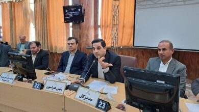 برپایی مجامع انتخاباتی هیئت والیبال تمام استان‌ها تا پایان سال/ امتیاز لیگ دسته یک به فارس تعلق گیرد