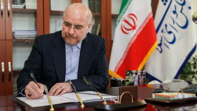 قالیباف قهرمانی فرنگیکاران امید ایران در جهان را تبریک گفت قالیباف قهرمانی فرنگیکاران امید ایران در جهان را تبریک گفت