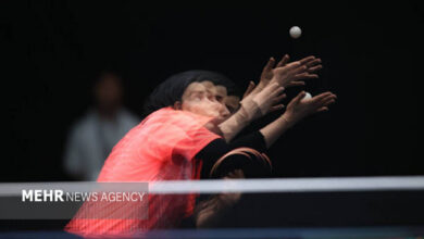 تنیس روی میز زنان با ایده‌آل‌ها فاصله دارد/ بودجه مستقل می‌خواهیم