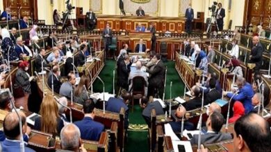 نماینده پارلمان مصر خواستار شفاف‌سازی درباره حواشی دیدار با ایران شد