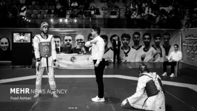 لیگ برتر تکواندو