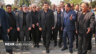 تقدیر از خانواده شهدای ورزشکار با حضور وزیر ورزش + عکس