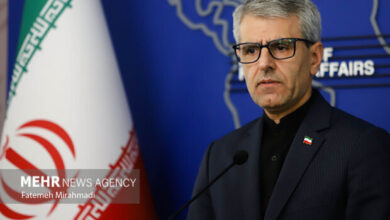 بقایی: وزارت امور خارجه پیگیر وضعیت تیم ملی خواهد بود
