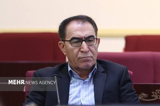 برملا شدن۴ هزار نمونه قدیمی در سوارکاری/اسب‌هایی که بی شناسنامه ماندند