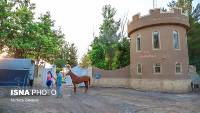 وقتی «لاکچری‌بازی» استعدادهای ورزشی را قربانی می‌کند