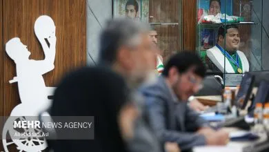 برگزاری مجمع کمیته ملی پارالمپیک؛ تصمیم گیری در مورد انتخابات